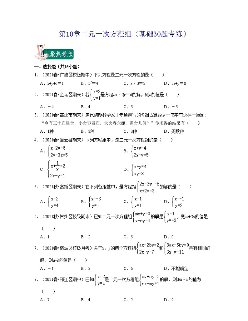 第10章 二元一次方程组(基础30题专练)-七年级数学下学期考试满分全攻略(苏科版)